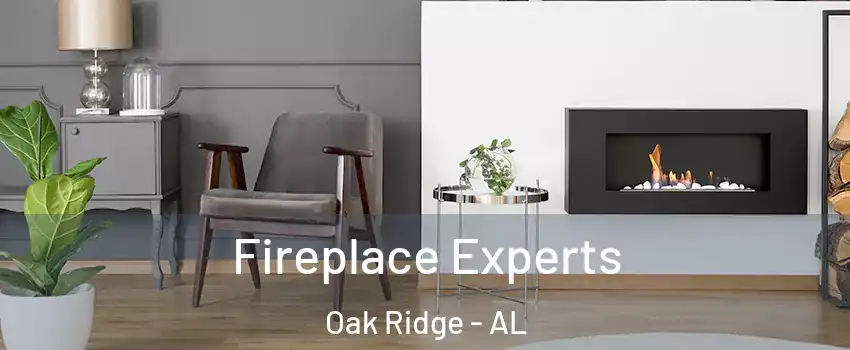 Fireplace Experts Oak Ridge - AL