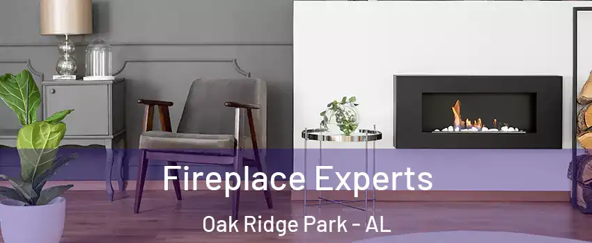 Fireplace Experts Oak Ridge Park - AL