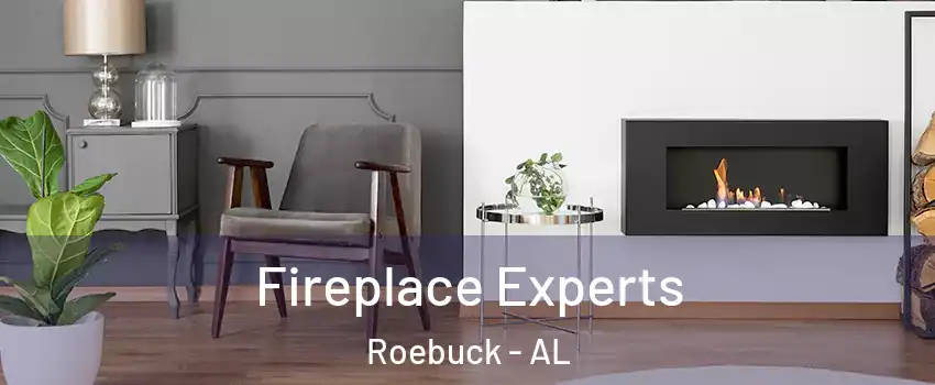 Fireplace Experts Roebuck - AL