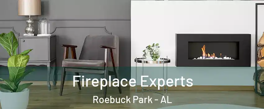 Fireplace Experts Roebuck Park - AL