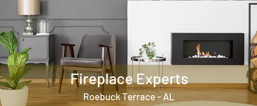 Fireplace Experts Roebuck Terrace - AL
