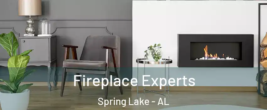 Fireplace Experts Spring Lake - AL