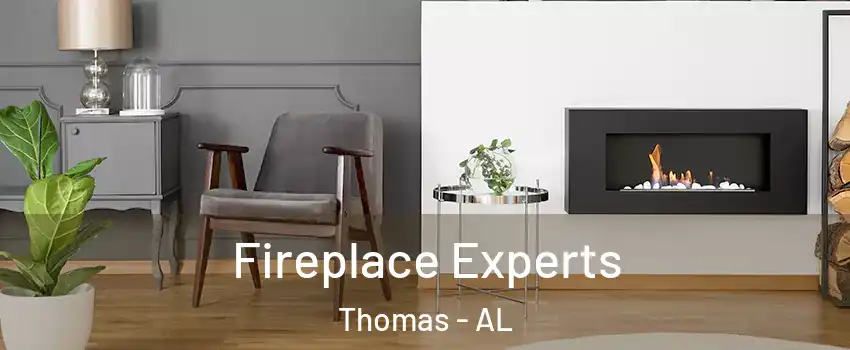 Fireplace Experts Thomas - AL