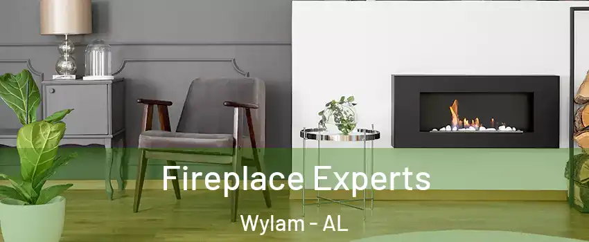 Fireplace Experts Wylam - AL