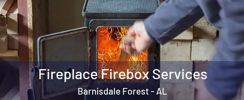 Fireplace Firebox Services Barnisdale Forest - AL