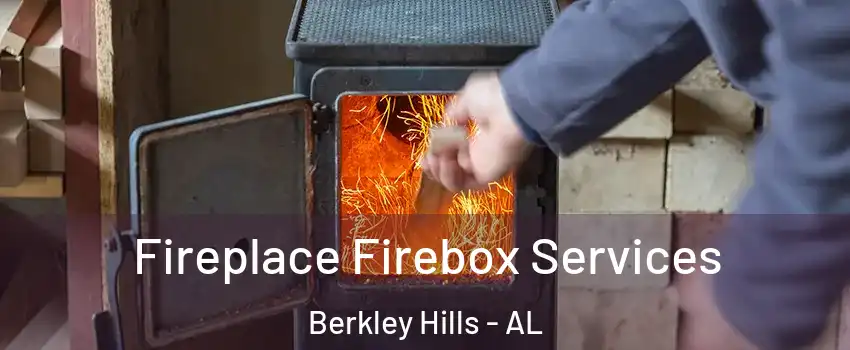 Fireplace Firebox Services Berkley Hills - AL