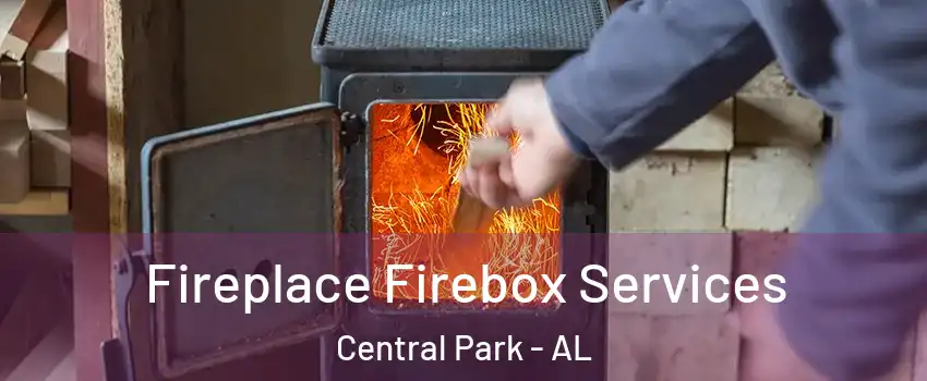Fireplace Firebox Services Central Park - AL