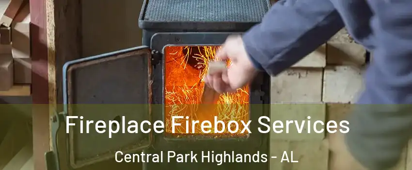 Fireplace Firebox Services Central Park Highlands - AL