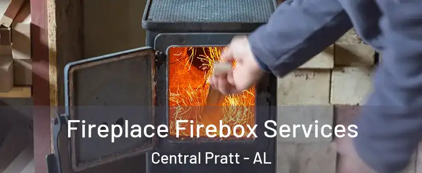 Fireplace Firebox Services Central Pratt - AL