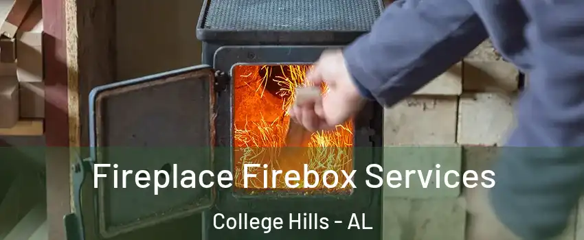 Fireplace Firebox Services College Hills - AL