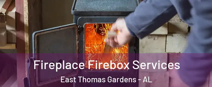 Fireplace Firebox Services East Thomas Gardens - AL