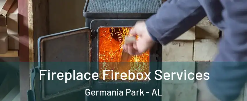 Fireplace Firebox Services Germania Park - AL