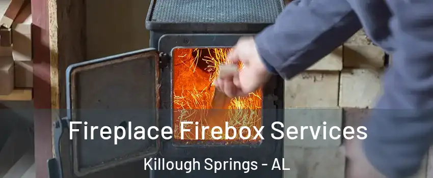 Fireplace Firebox Services Killough Springs - AL