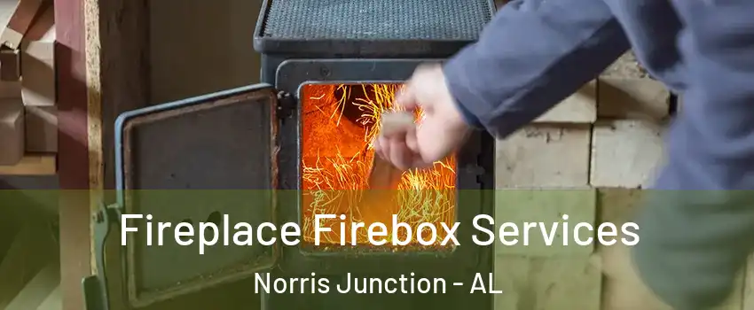 Fireplace Firebox Services Norris Junction - AL