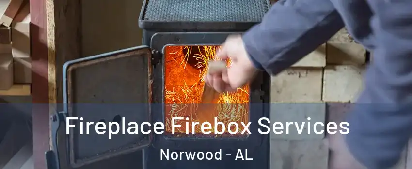 Fireplace Firebox Services Norwood - AL