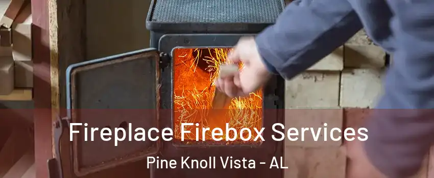 Fireplace Firebox Services Pine Knoll Vista - AL
