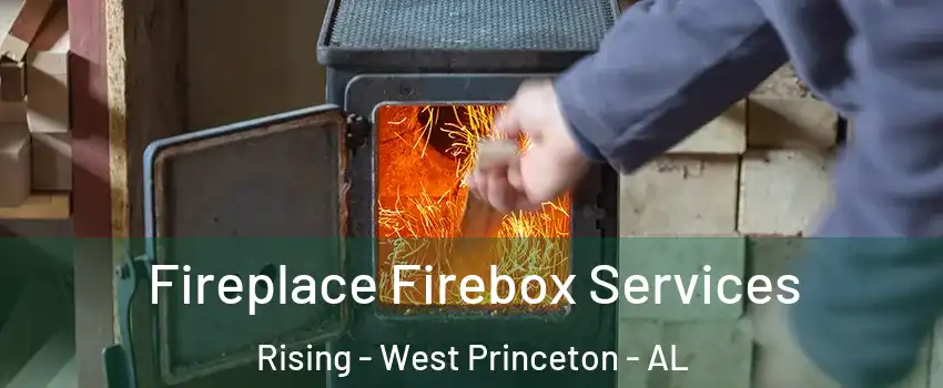 Fireplace Firebox Services Rising - West Princeton - AL