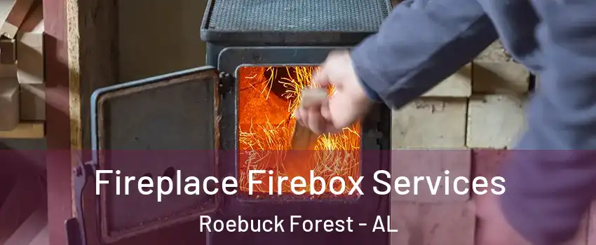 Fireplace Firebox Services Roebuck Forest - AL