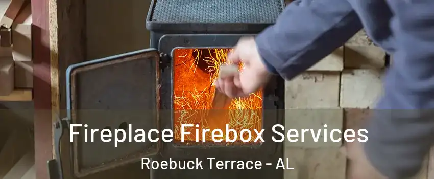 Fireplace Firebox Services Roebuck Terrace - AL