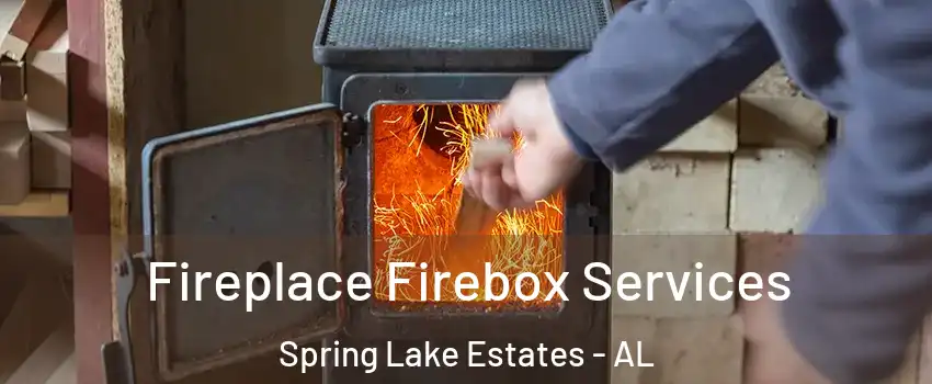 Fireplace Firebox Services Spring Lake Estates - AL