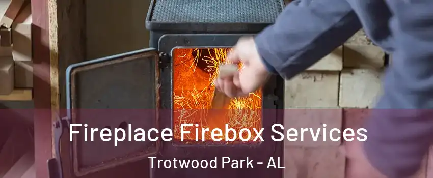 Fireplace Firebox Services Trotwood Park - AL