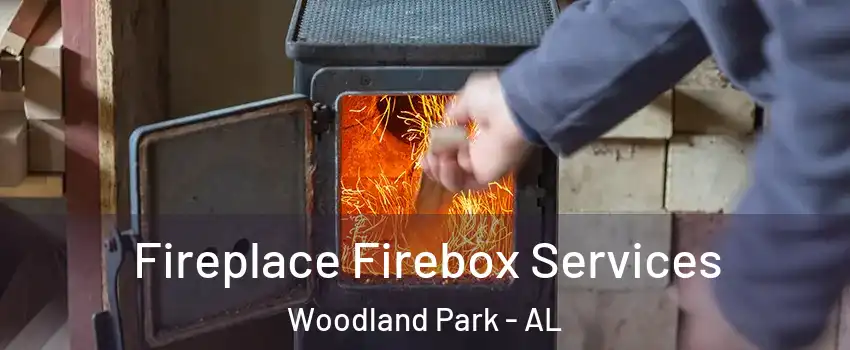 Fireplace Firebox Services Woodland Park - AL