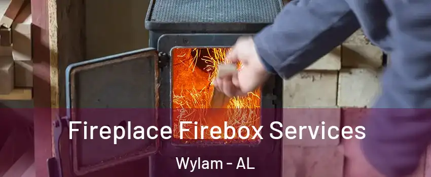 Fireplace Firebox Services Wylam - AL