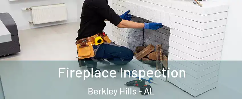 Fireplace Inspection Berkley Hills - AL