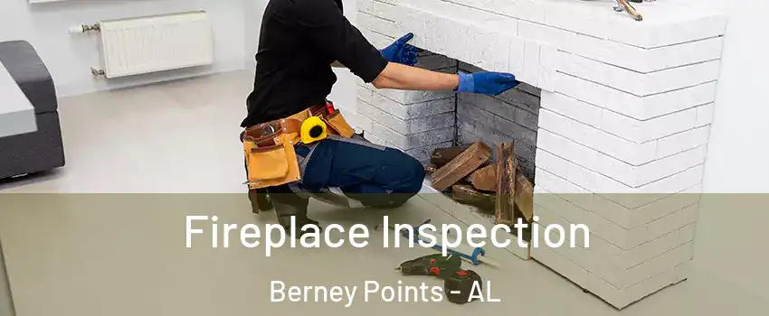 Fireplace Inspection Berney Points - AL