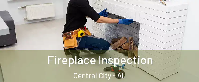 Fireplace Inspection Central City - AL