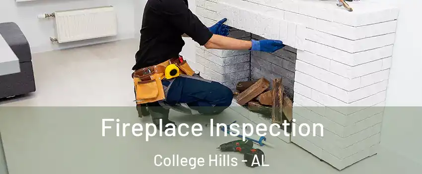 Fireplace Inspection College Hills - AL