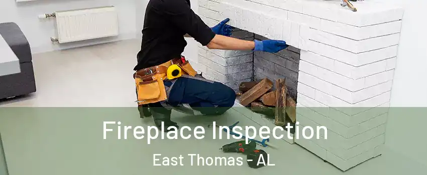 Fireplace Inspection East Thomas - AL