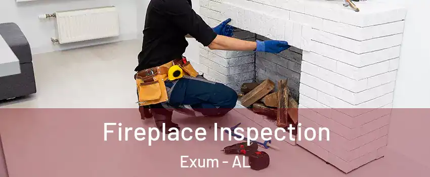 Fireplace Inspection Exum - AL