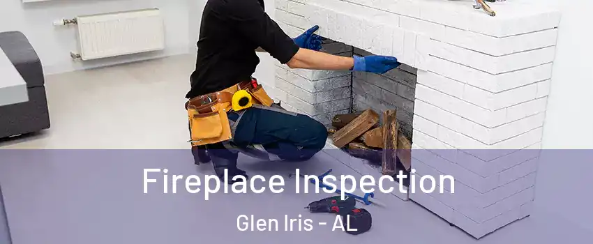 Fireplace Inspection Glen Iris - AL