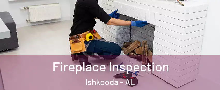 Fireplace Inspection Ishkooda - AL