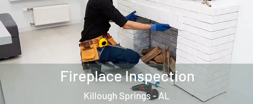Fireplace Inspection Killough Springs - AL