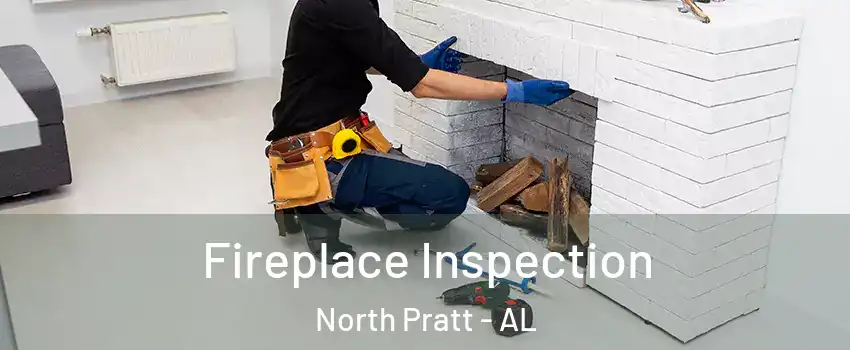 Fireplace Inspection North Pratt - AL