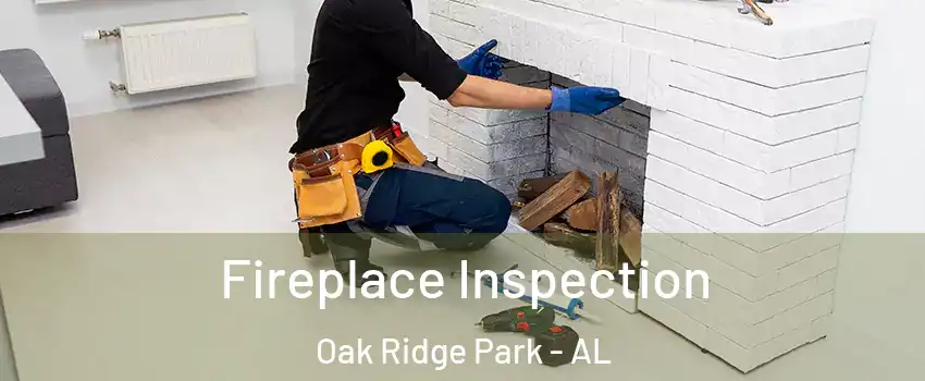 Fireplace Inspection Oak Ridge Park - AL