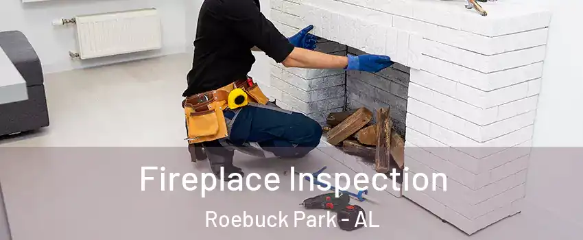 Fireplace Inspection Roebuck Park - AL