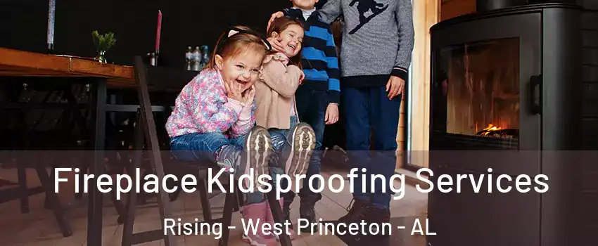 Fireplace Kidsproofing Services Rising - West Princeton - AL