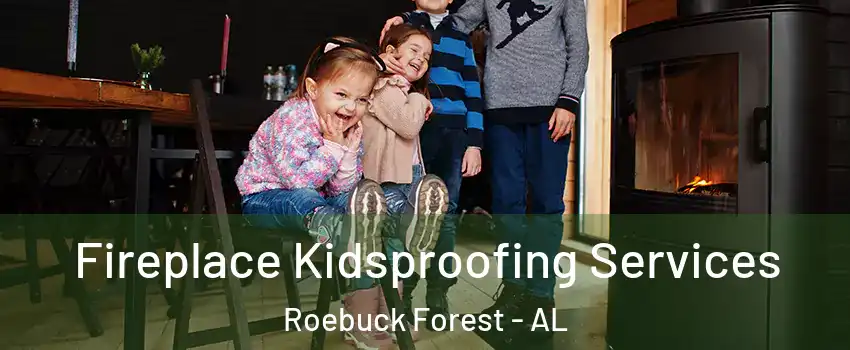 Fireplace Kidsproofing Services Roebuck Forest - AL