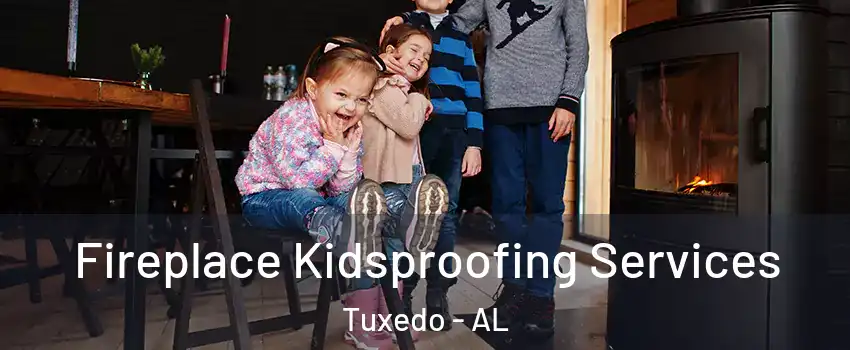 Fireplace Kidsproofing Services Tuxedo - AL