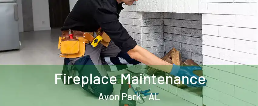 Fireplace Maintenance Avon Park - AL