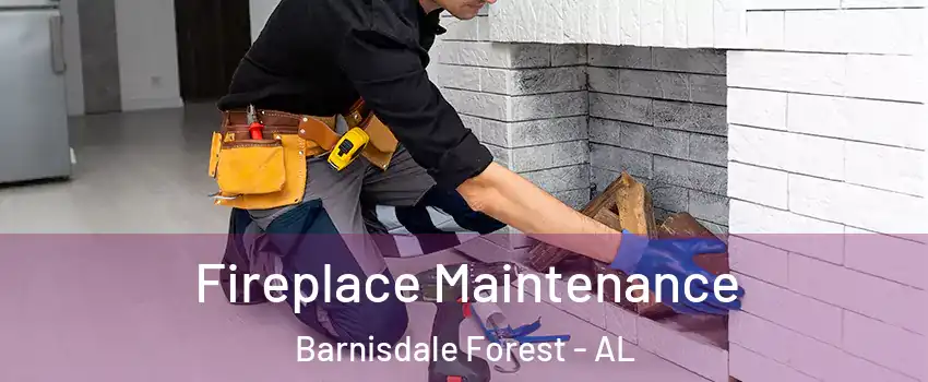 Fireplace Maintenance Barnisdale Forest - AL