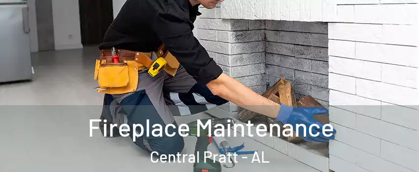 Fireplace Maintenance Central Pratt - AL