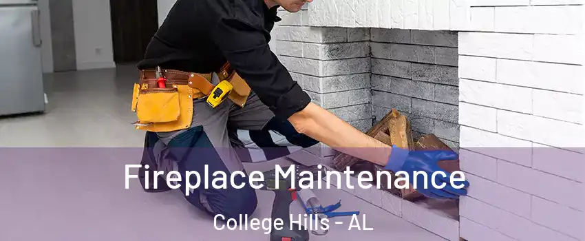 Fireplace Maintenance College Hills - AL