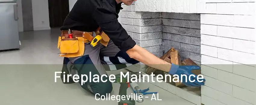 Fireplace Maintenance Collegeville - AL