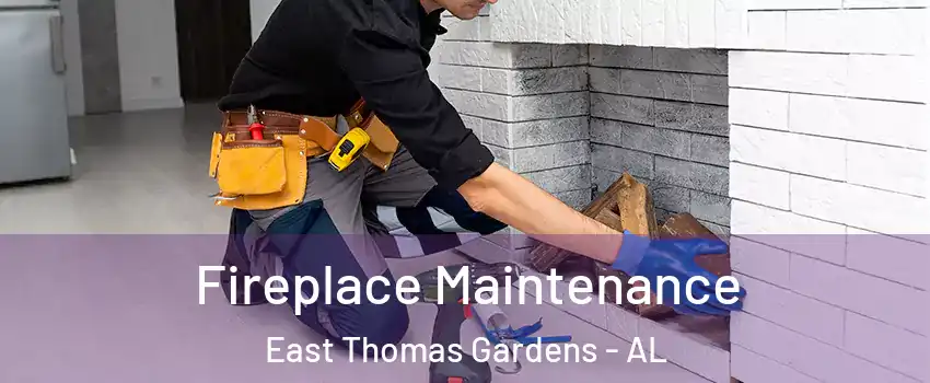 Fireplace Maintenance East Thomas Gardens - AL