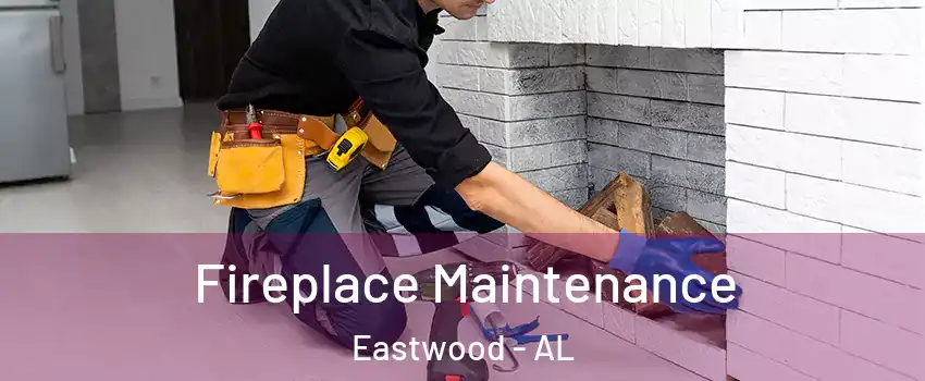 Fireplace Maintenance Eastwood - AL