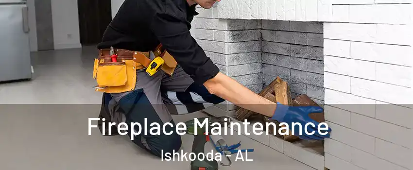 Fireplace Maintenance Ishkooda - AL